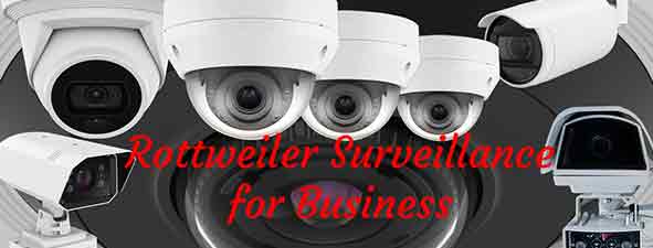 Surveillance for Business